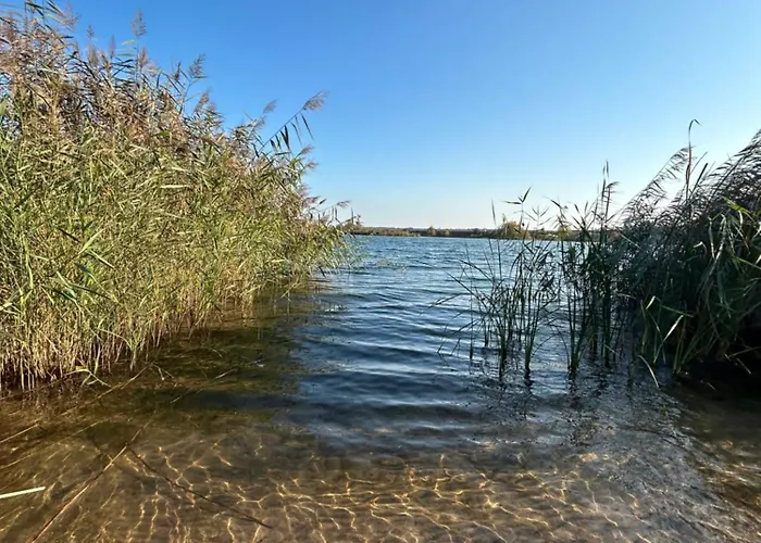 - Idyllisches Mit Privatstrand Und Sauna In Der Naehe Von Leipzig #hausmaja