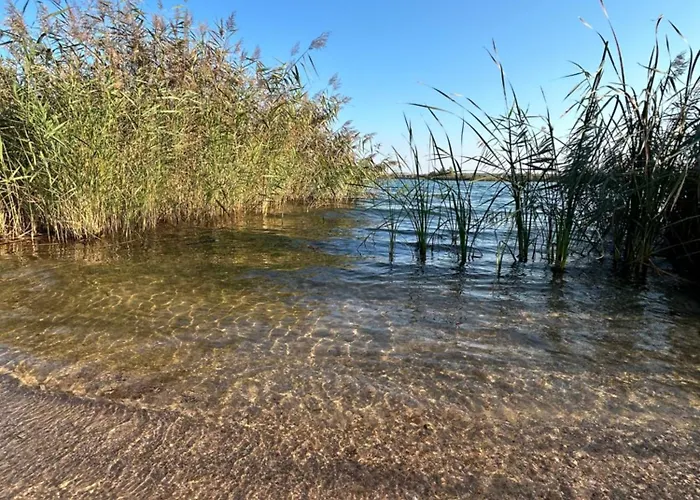 بيت للعطل - Idyllisches Mit Privatstrand Und Sauna In Der Naehe Von Leipzig #hausmaja *