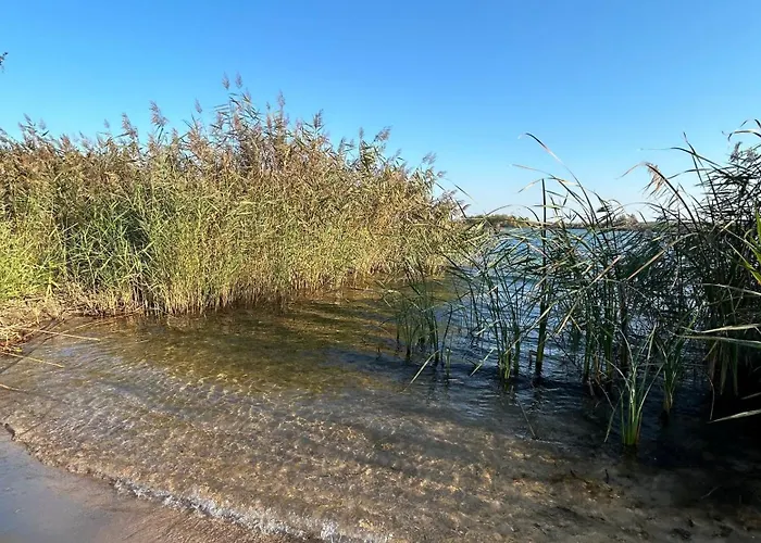 - Idyllisches Mit Privatstrand Und Sauna In Der Naehe Von Leipzig #hausmaja